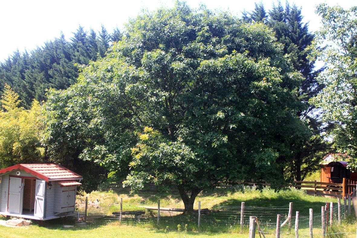 Tente Trappeur Ada, Au Jardin De La Vouivre Saint-Vincent-en-Bresse Dış mekan fotoğraf