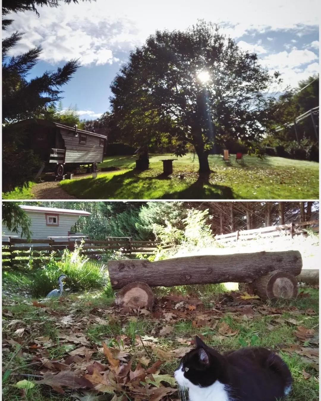 Tente Trappeur Ada, Au Jardin De La Vouivre Saint-Vincent-en-Bresse Dış mekan fotoğraf