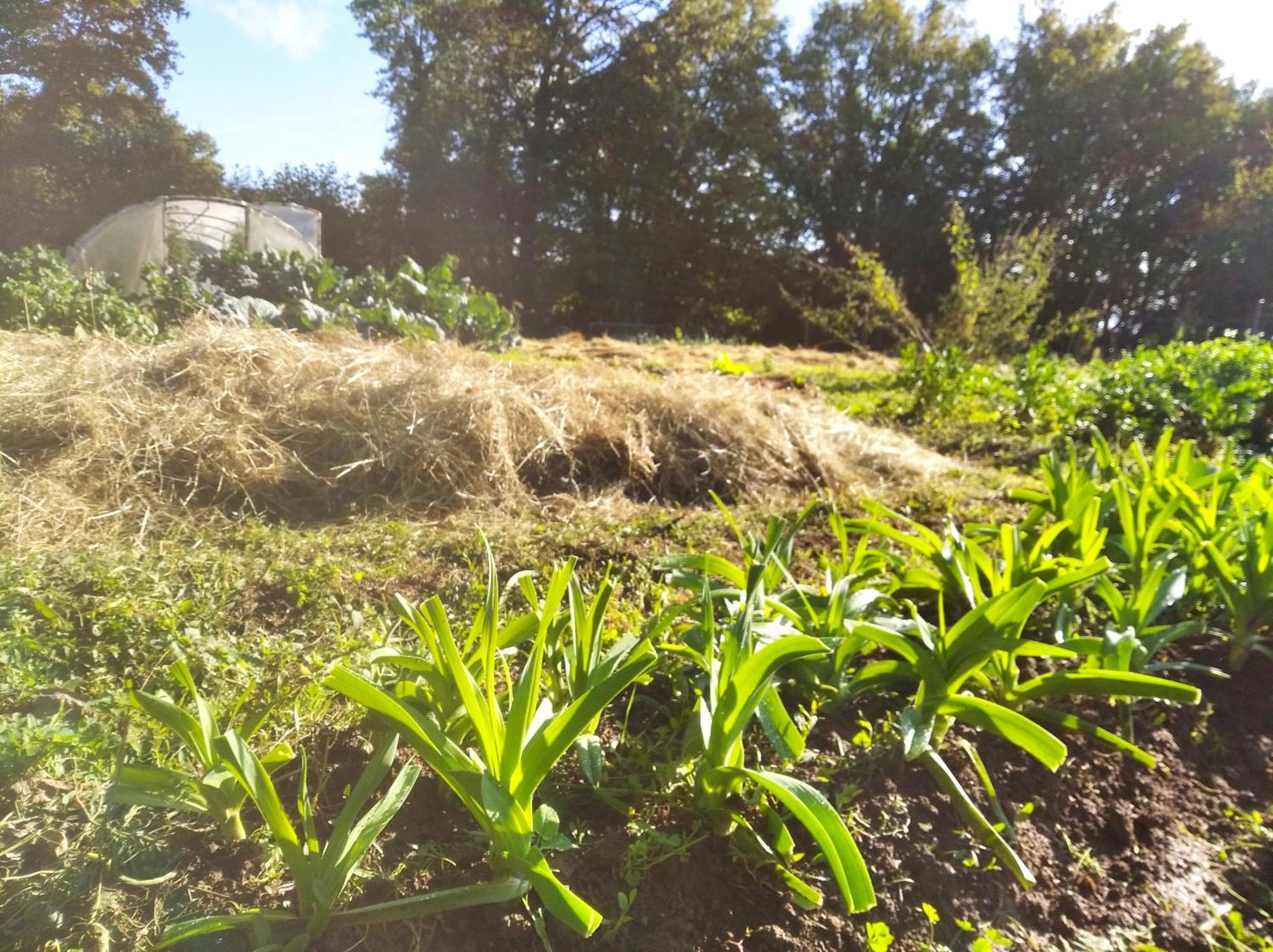 Tente Trappeur Ada, Au Jardin De La Vouivre Saint-Vincent-en-Bresse Dış mekan fotoğraf