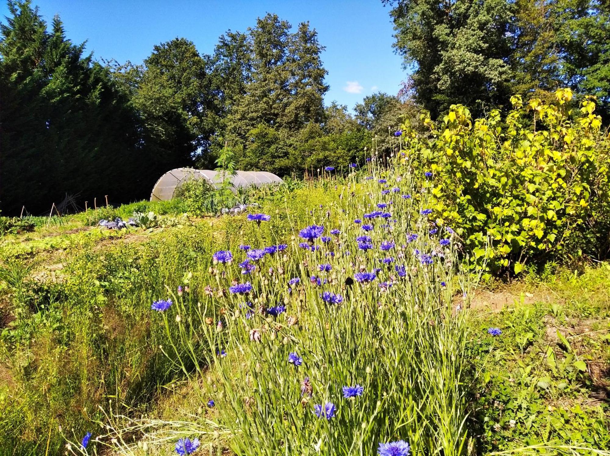 Tente Trappeur Ada, Au Jardin De La Vouivre Saint-Vincent-en-Bresse Dış mekan fotoğraf