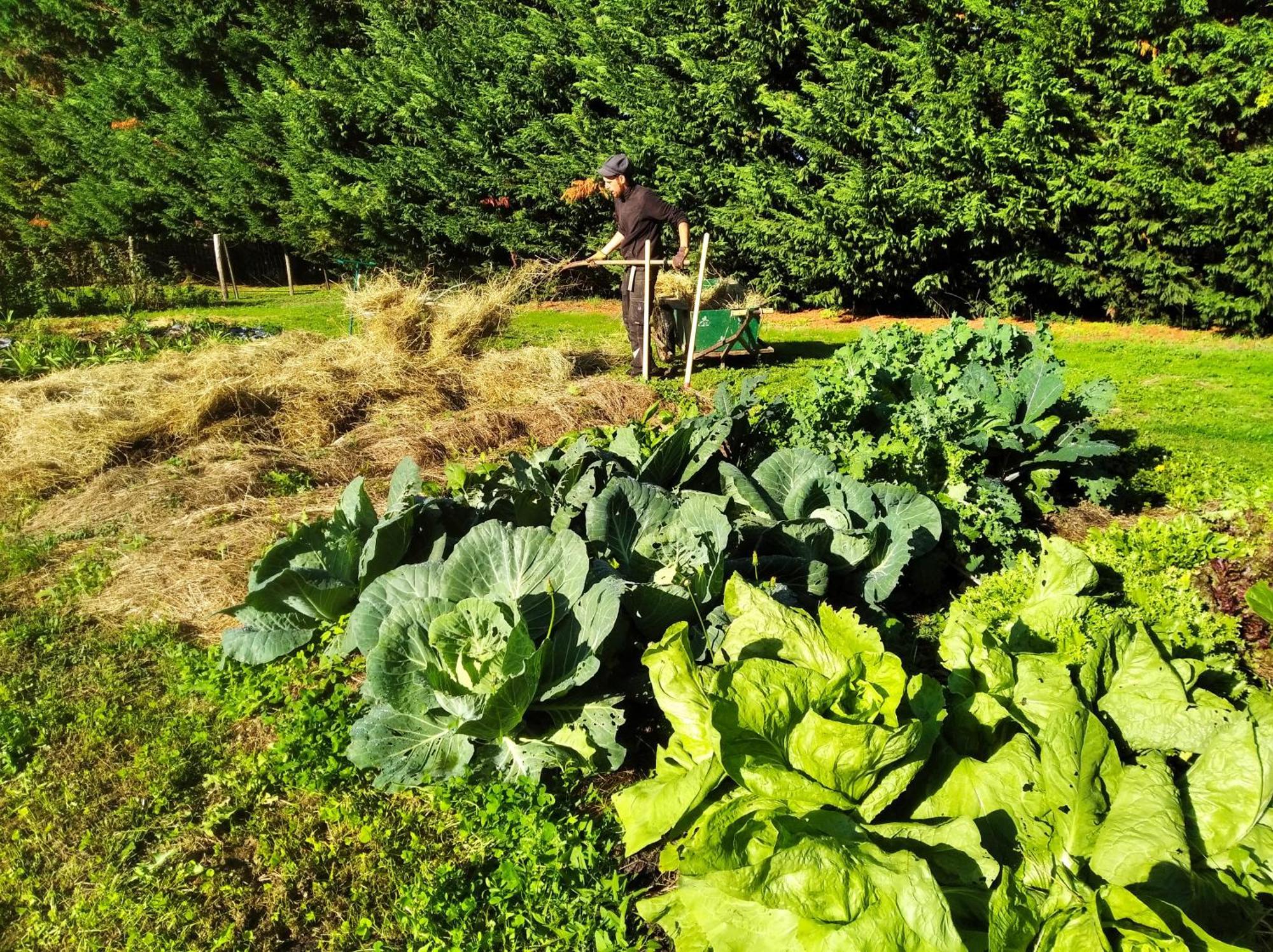 Tente Trappeur Ada, Au Jardin De La Vouivre Saint-Vincent-en-Bresse Dış mekan fotoğraf