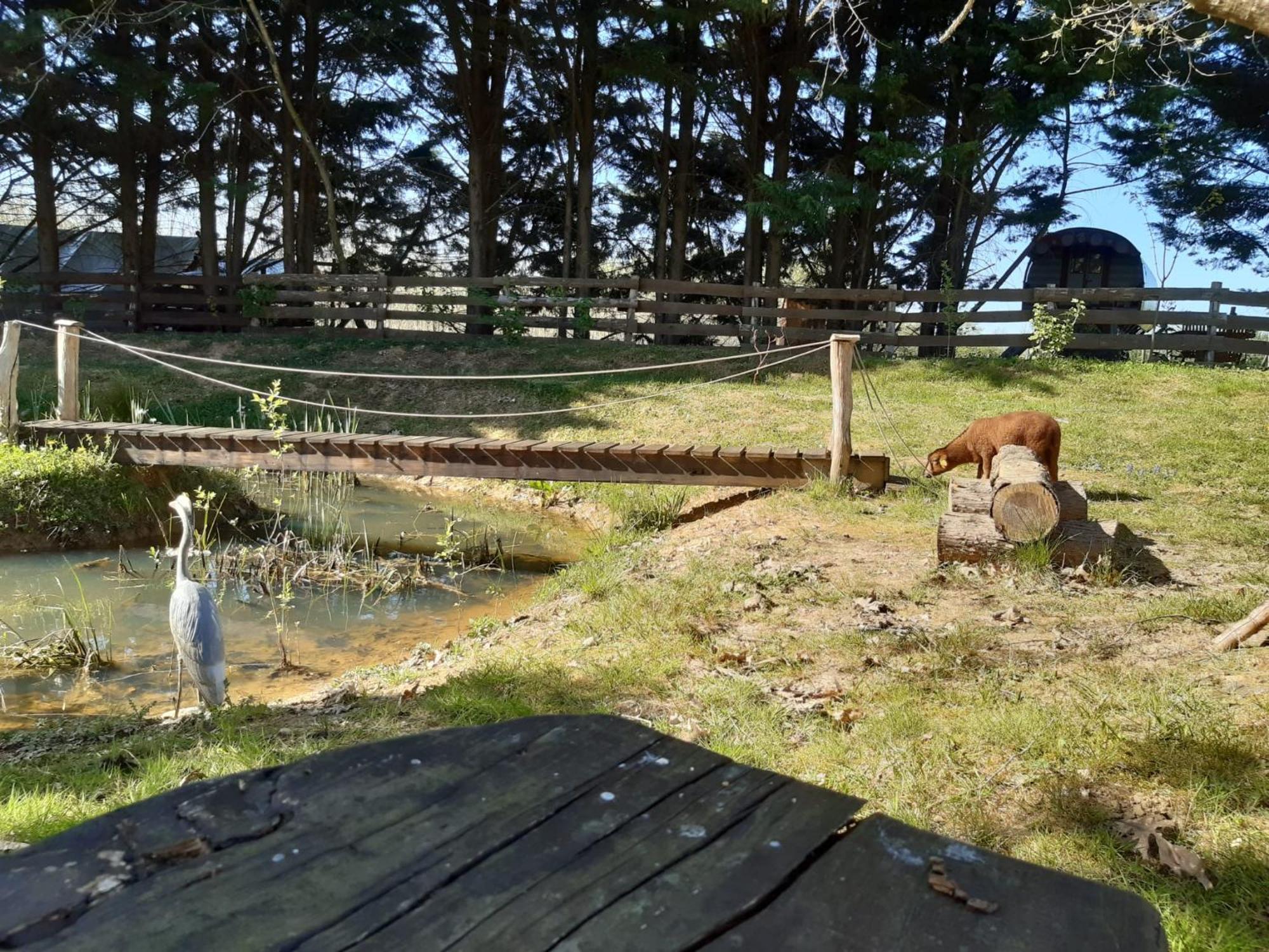 Tente Trappeur Ada, Au Jardin De La Vouivre Saint-Vincent-en-Bresse Dış mekan fotoğraf
