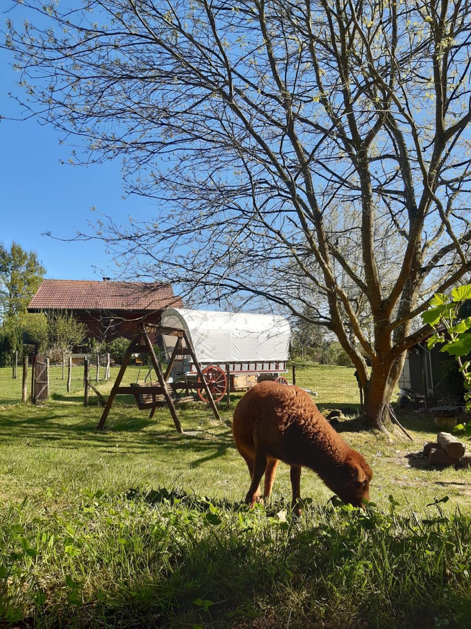 Tente Trappeur Ada, Au Jardin De La Vouivre Saint-Vincent-en-Bresse Dış mekan fotoğraf